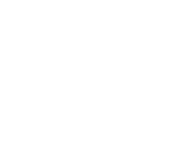 snstr inc.