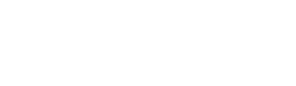 snstr inc.